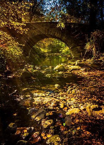 Shady Stream Bridge