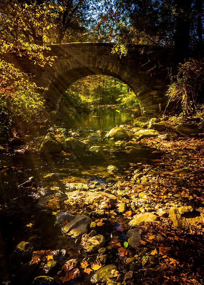 Shady Stream Bridge
