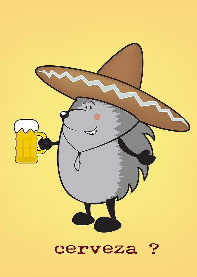 Cerveza ?