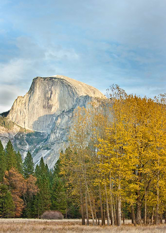 Yosemite Valley