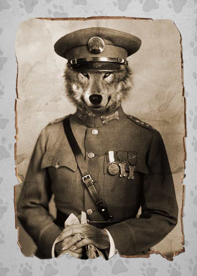 the general
