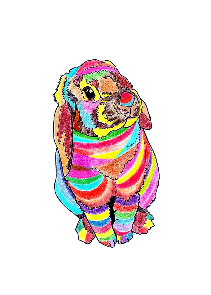 Rainbowbunny