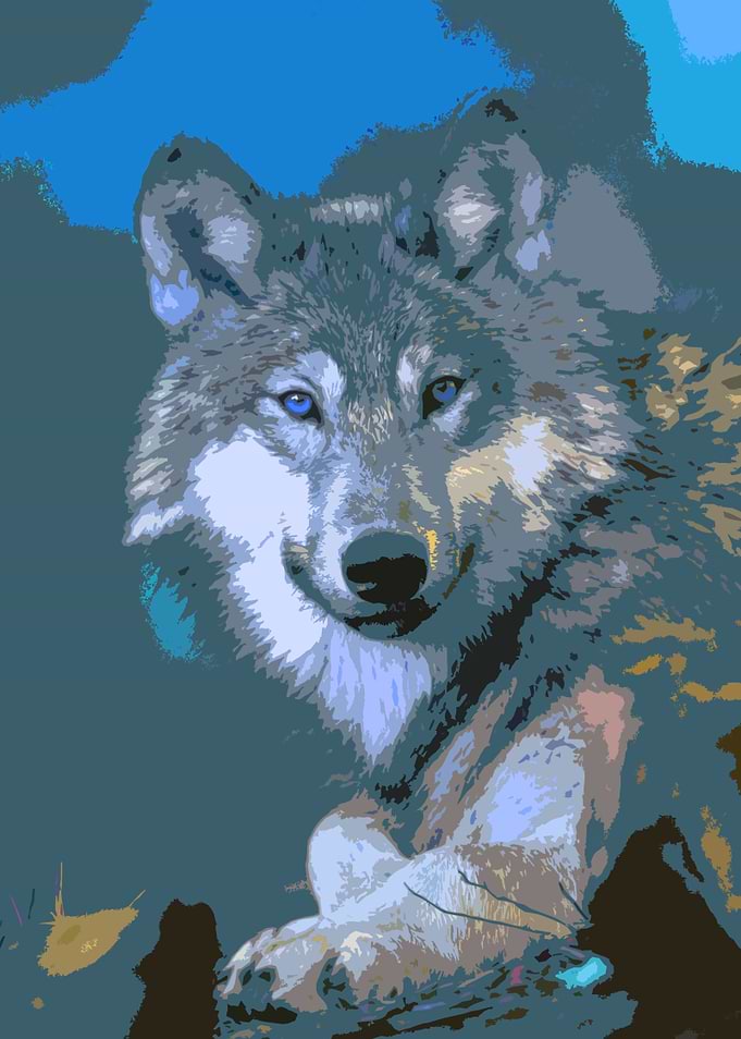 Wolf 2014-1003