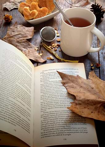 The open book in autumn