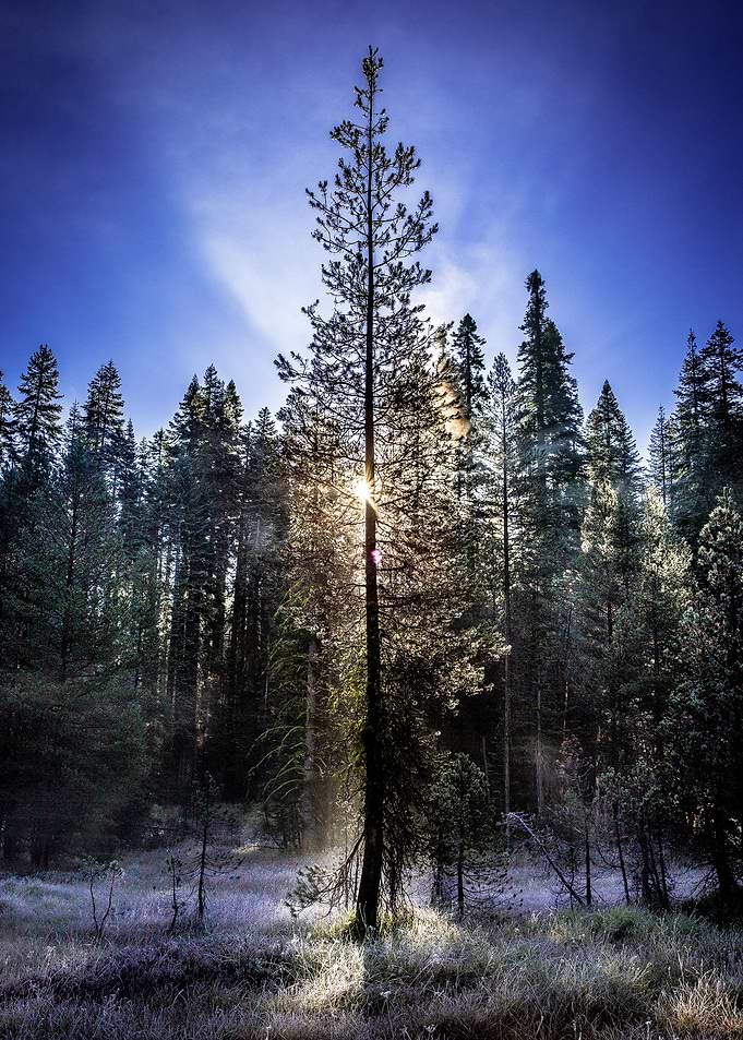 This was taken early morning while we were camping. Our ...