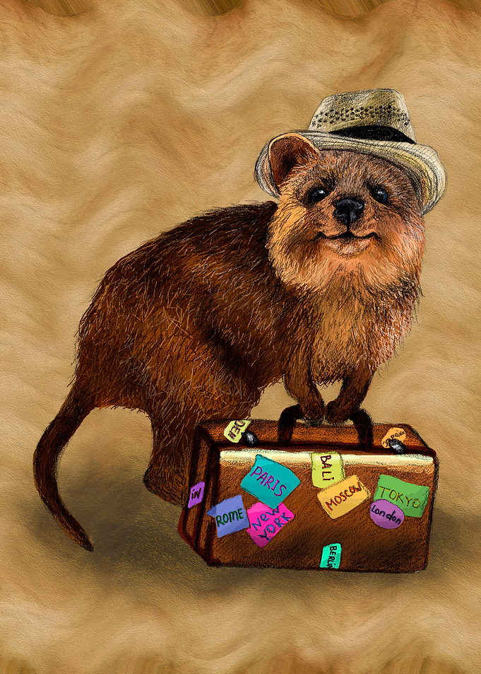 Traveller // quokka