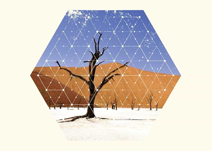 Perfect Nature and Geometry