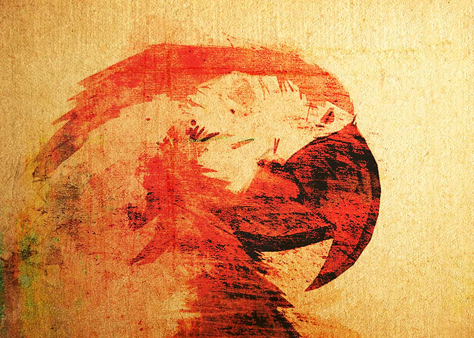 Arara