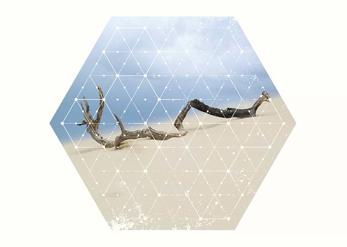 Perfect Nature and Geometry