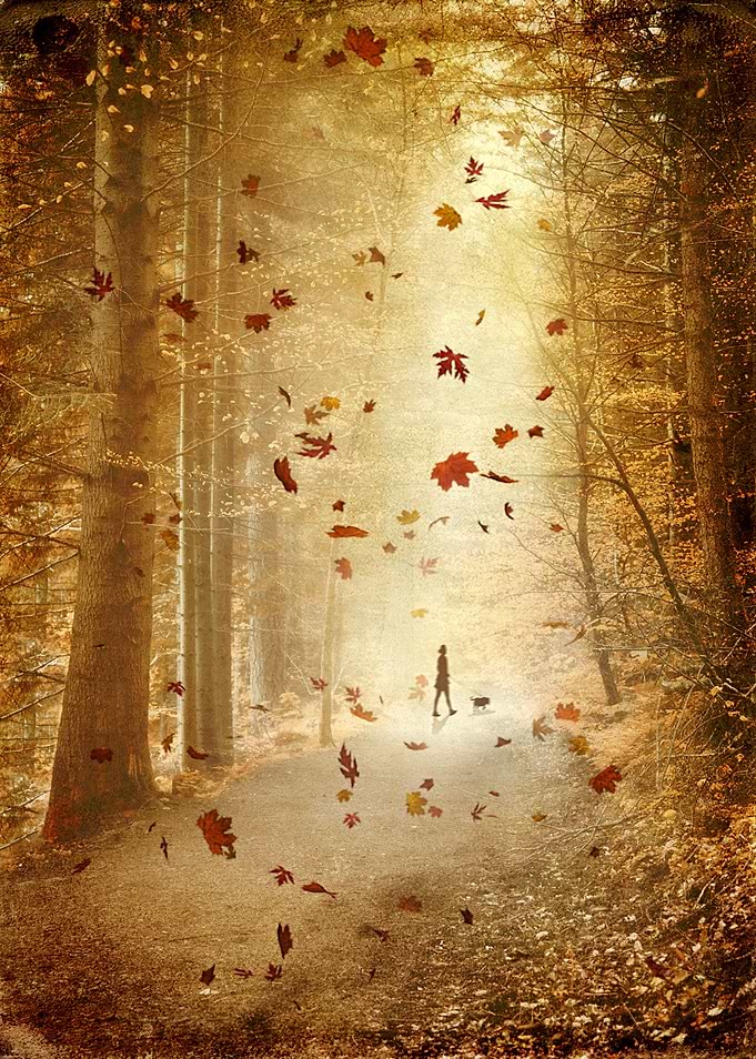 Autumn Path