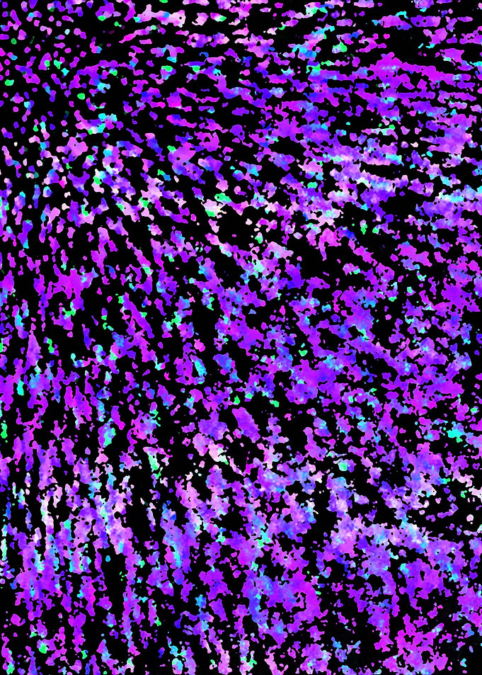 Informel Art Abstract 26