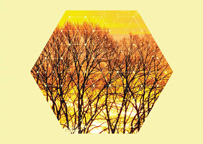 Nature and Geometry - Trees