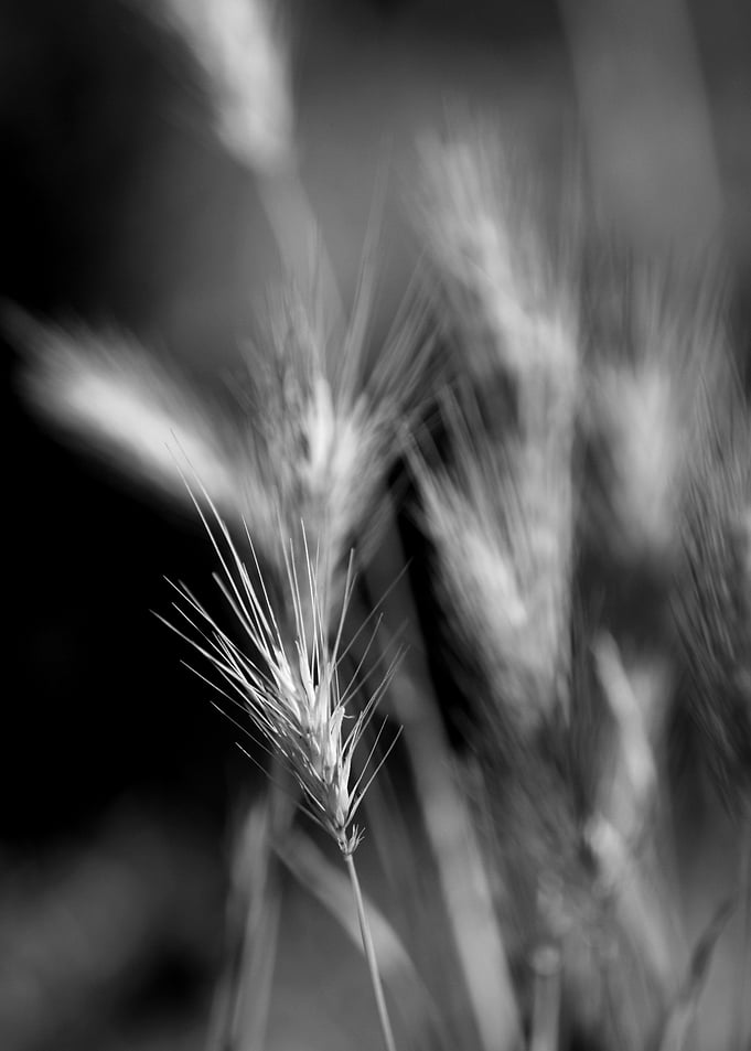 Nature in b