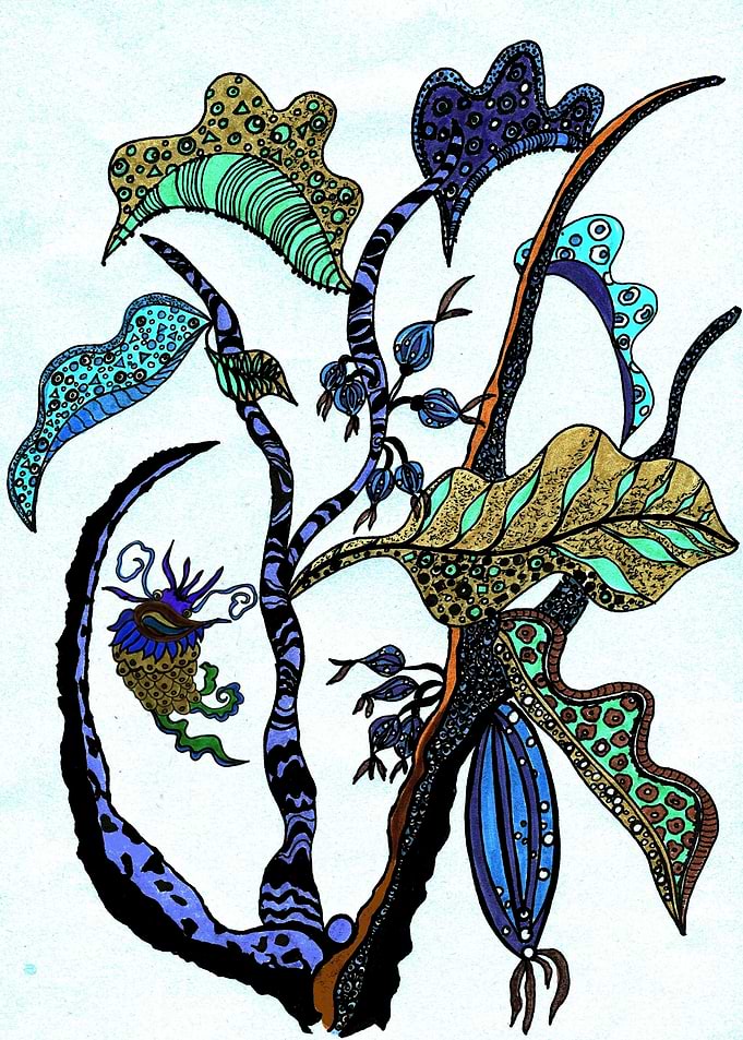 Jolie Ville