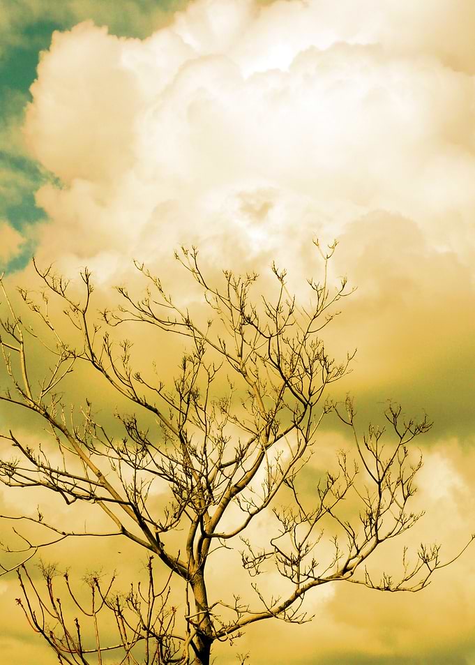 Stormy Sky