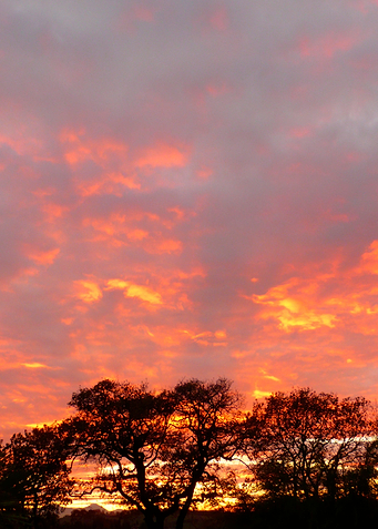 Sky on fire - An Italian Sunset