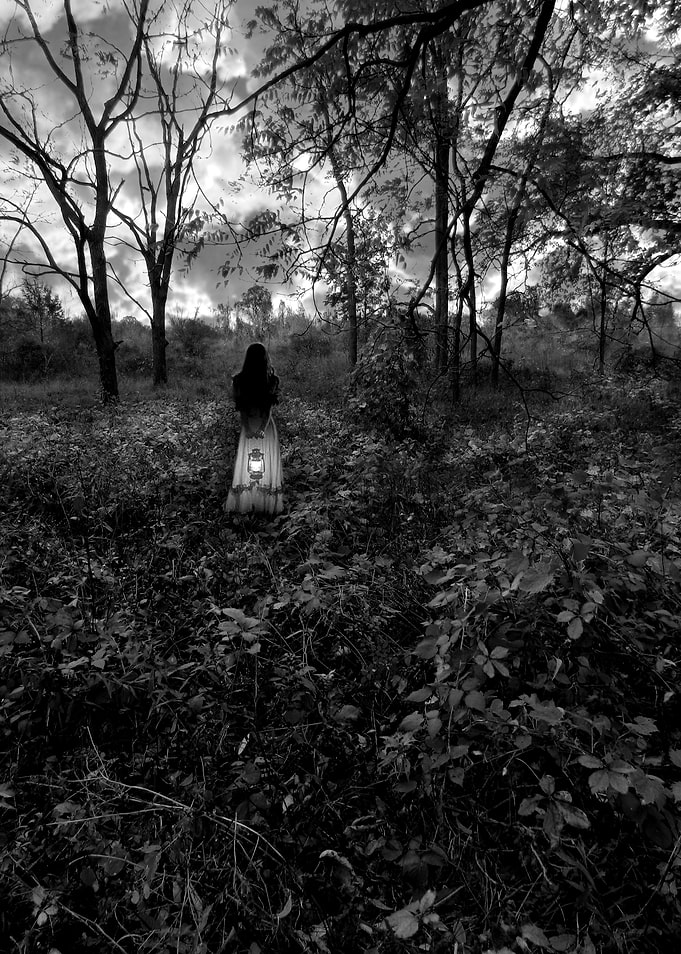 Into The Woods