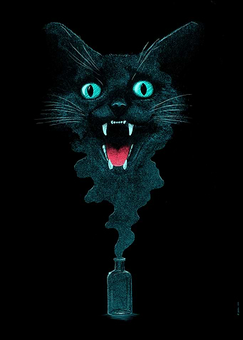 Back Cat Magic