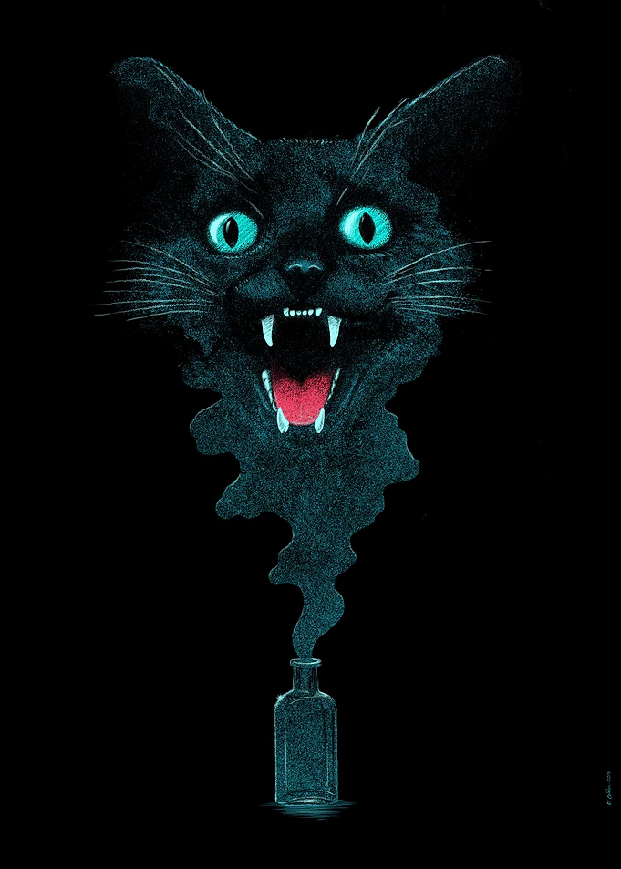Back Cat Magic