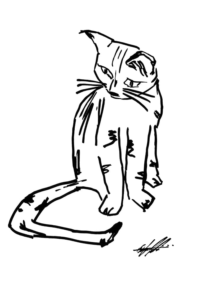 Alien Cat, A pen an ink I found a neg of from 20yrs ago ...