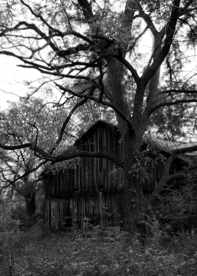 Barn