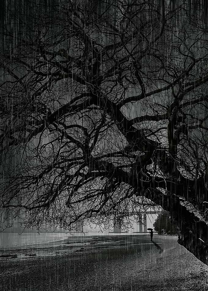 Lonely Figure