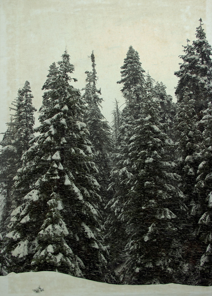 First Snow