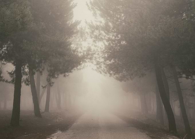 Mystery road....