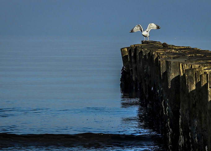 Seascape II
