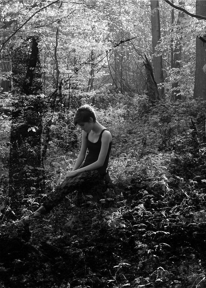 Woodland Faerie (3)