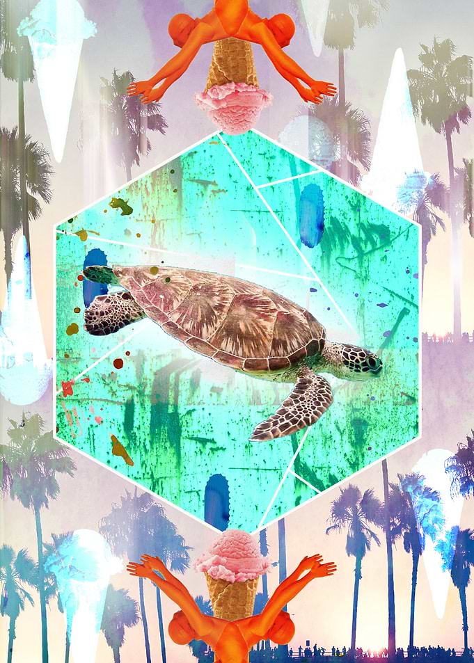 Turtle fly