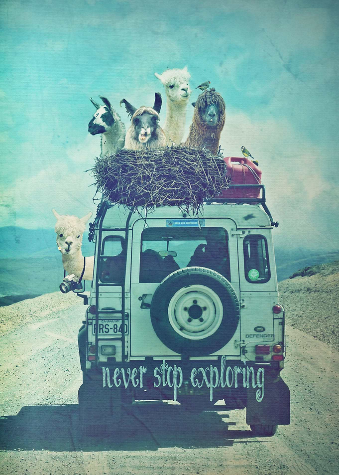 NEVER STOP EXPLORING II CLOSE UP