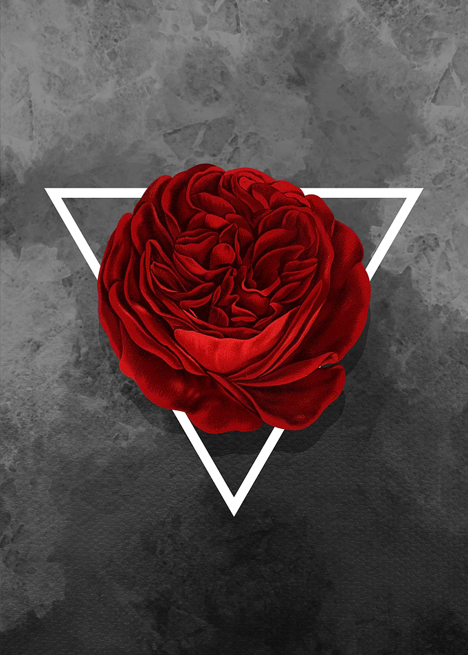 The Rose (black version)