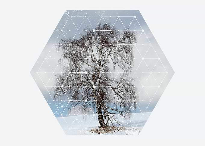 Nature and Geometry - Tree