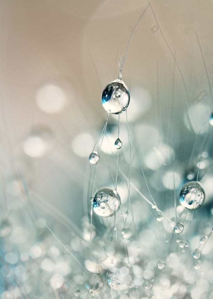 Soft Cactus Sparkles