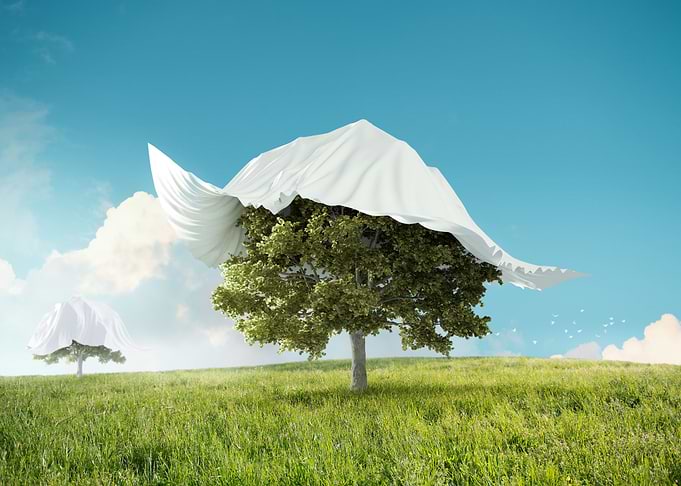 Rediscover the nature