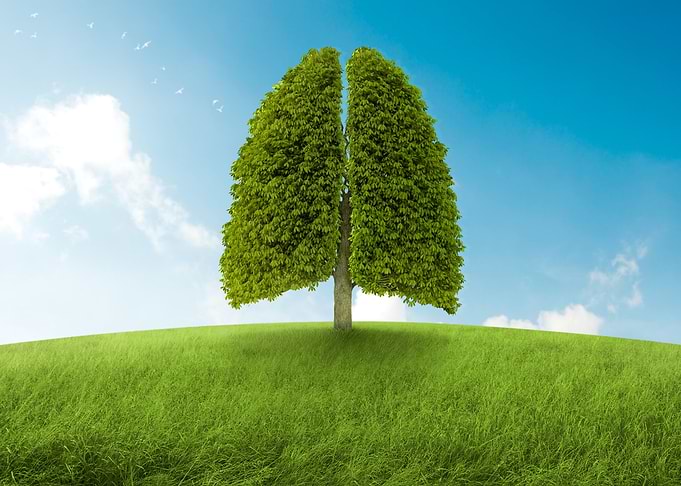 Breath of nature
