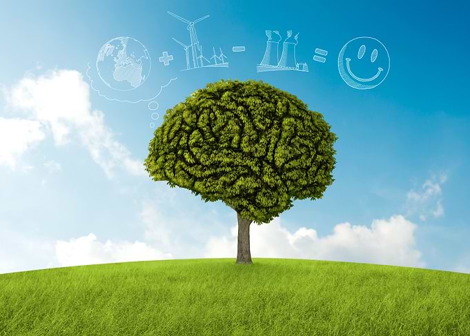Eco-logic