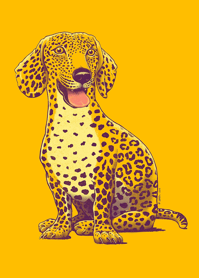 Woof on the Wild Side