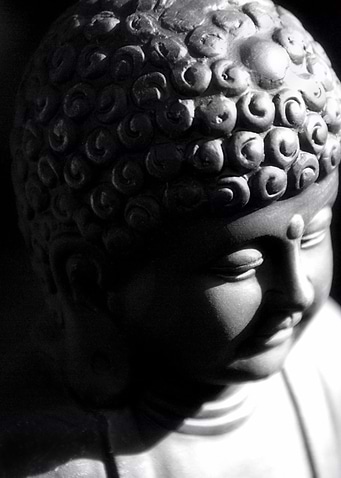 Little Buddha
