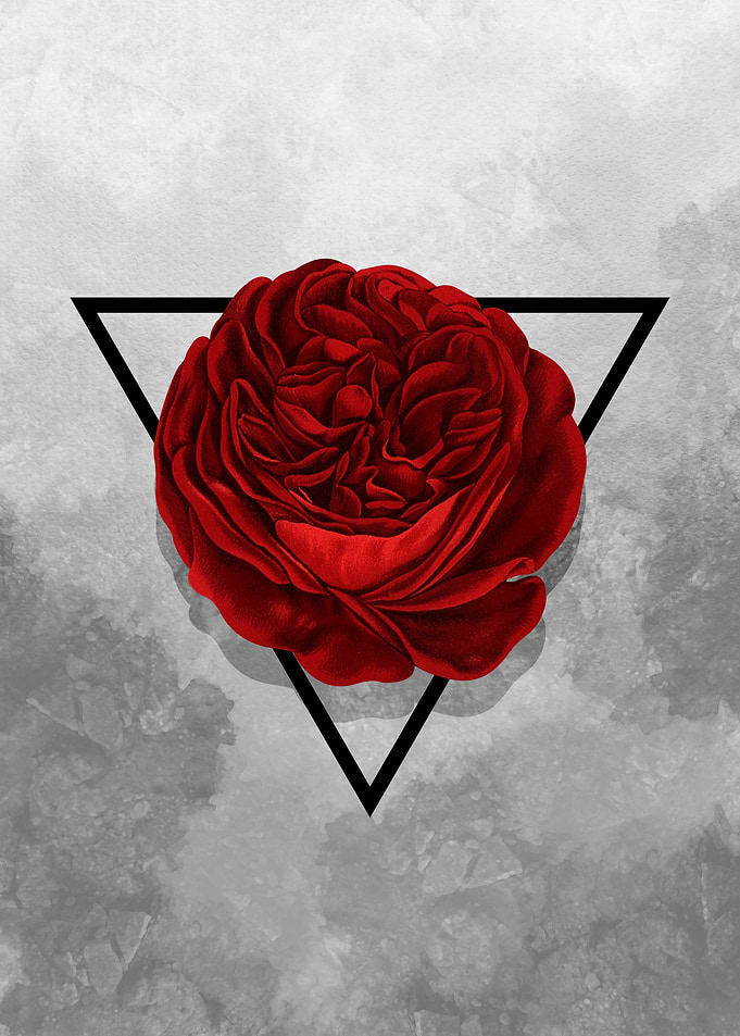 The Rose (white version)