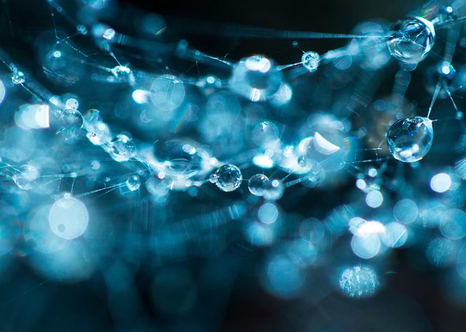 Bokeh Dreams