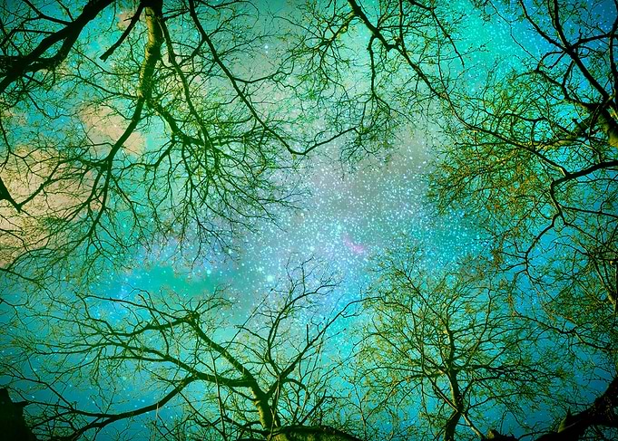 Sky dreams