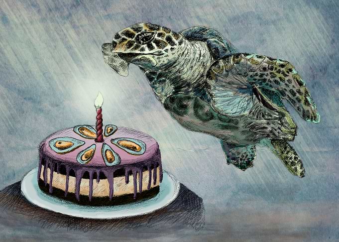Turtle Birthday