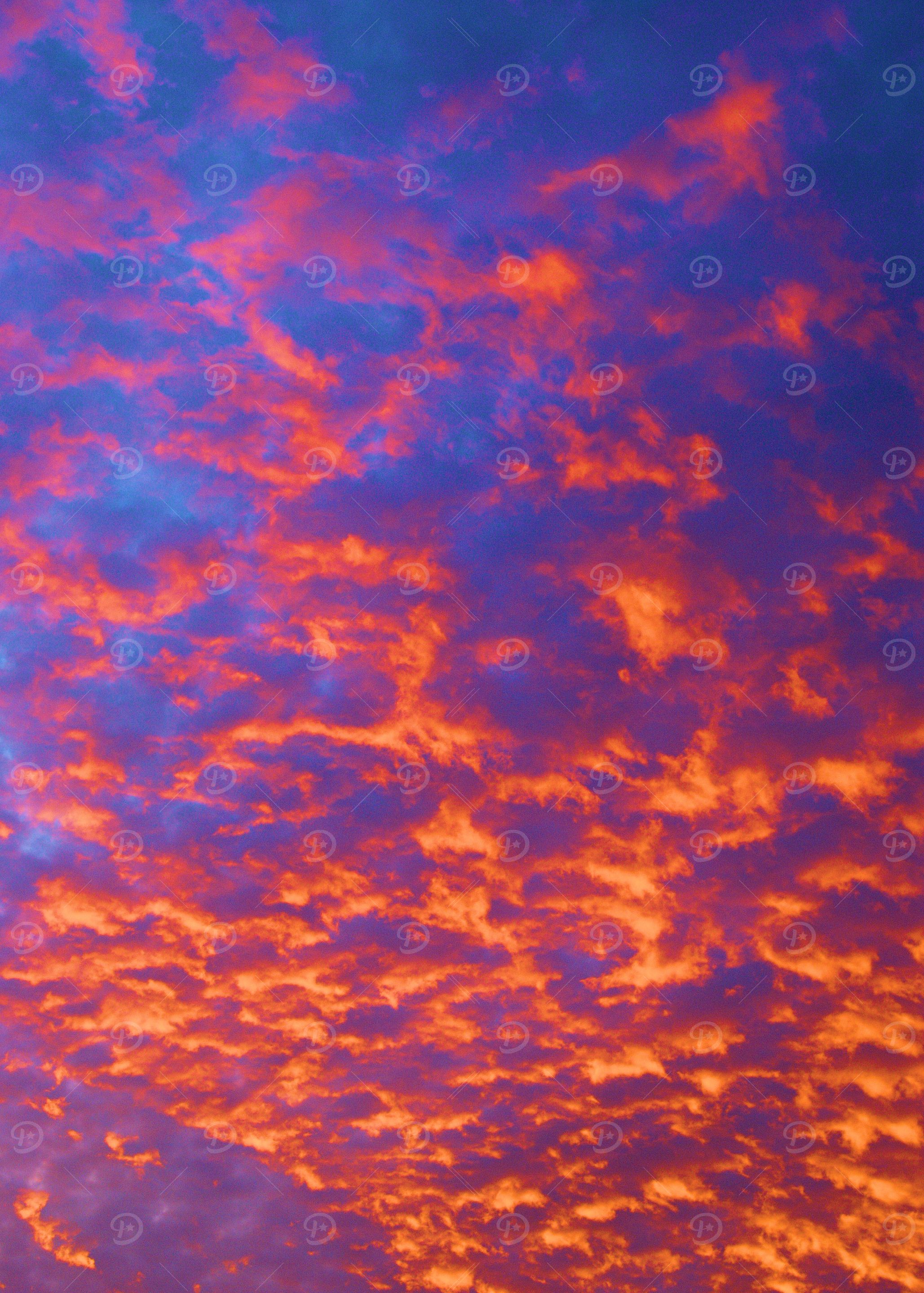 Coral Sky