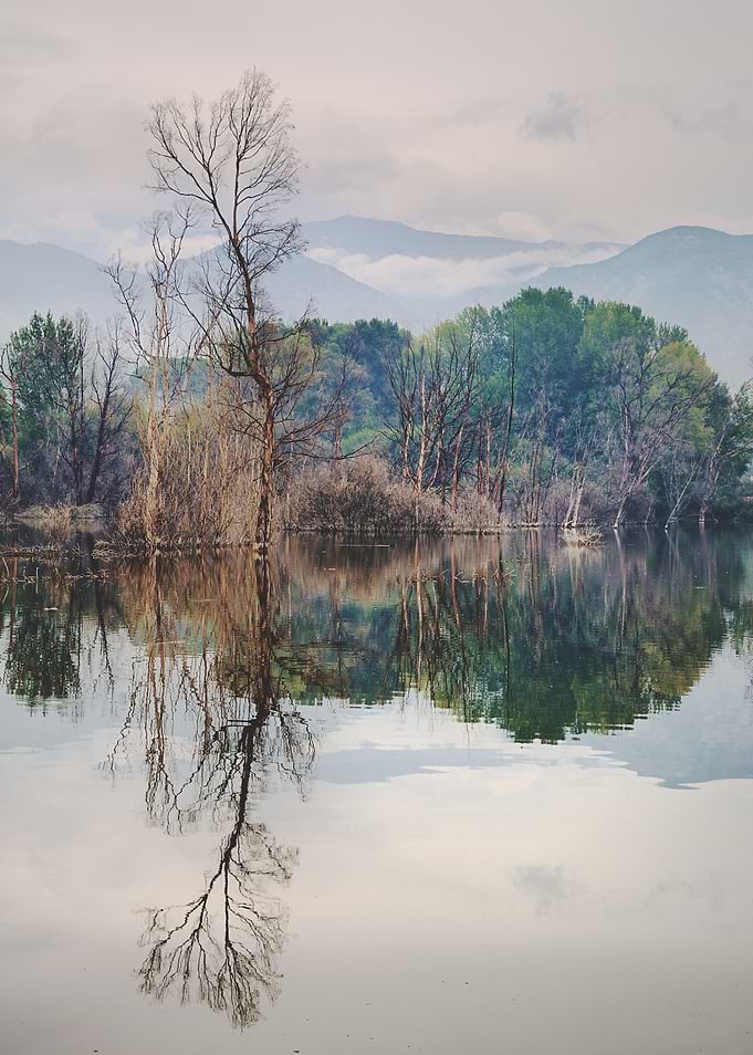 Mammoth paradise Mammoth lake. In this beautiful lake l ...