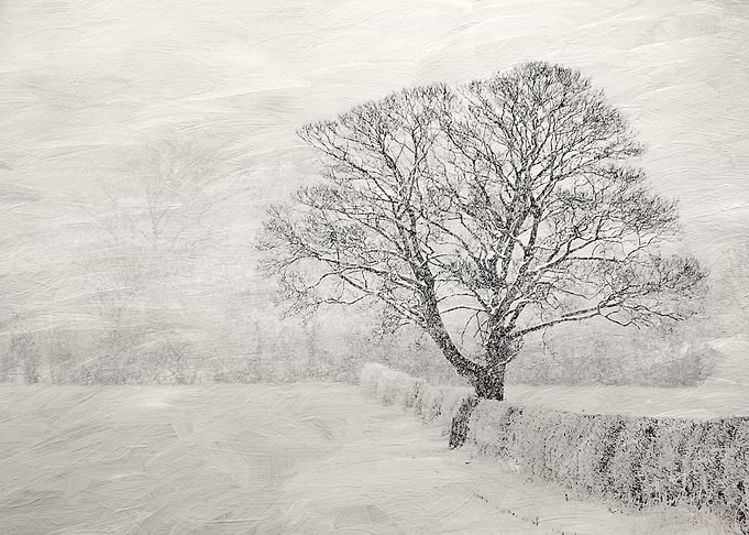 Winter