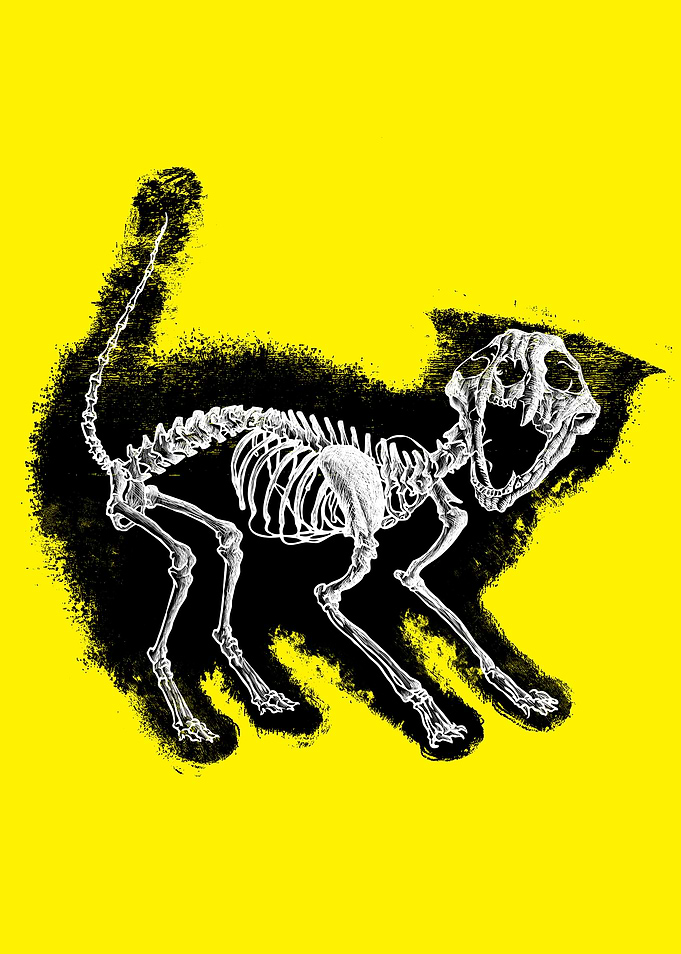 The Purrrfect Scare