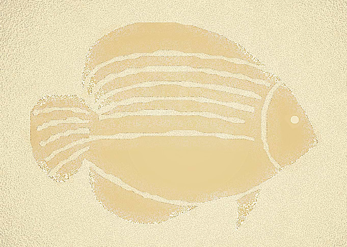 Sand Fish