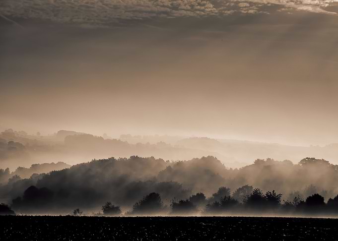 Fog and Mist